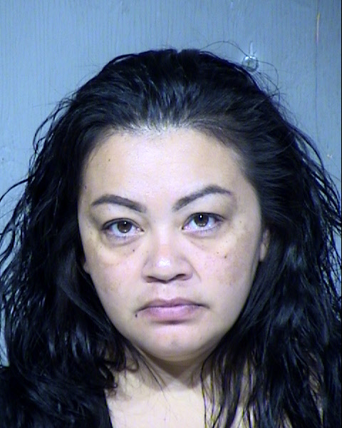 Yolanda Anita Pineda Mugshot / Maricopa County Arrests / Maricopa County Arizona