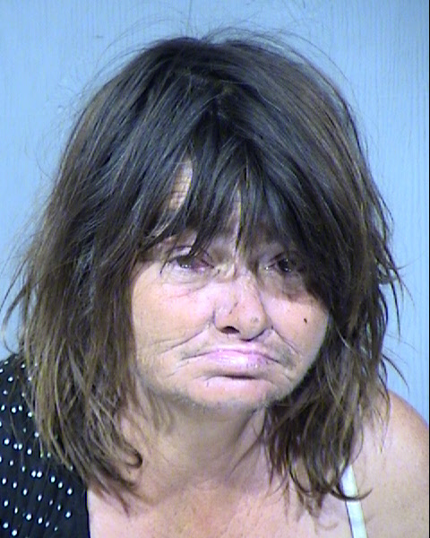 Lisa Marie Petersen Mugshot / Maricopa County Arrests / Maricopa County Arizona
