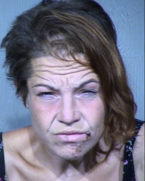 Sydney E Logan Mugshot / Maricopa County Arrests / Maricopa County Arizona