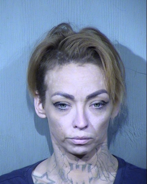 Cynthia Anne Young Mugshot / Maricopa County Arrests / Maricopa County Arizona