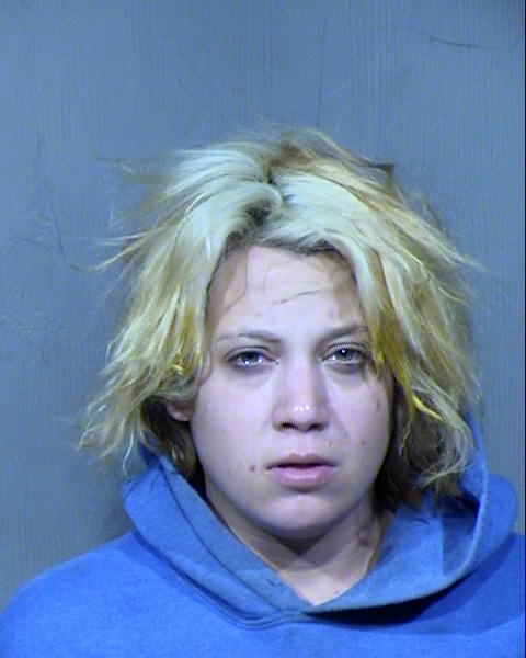 Lisa Marie Robinson Mugshot / Maricopa County Arrests / Maricopa County Arizona