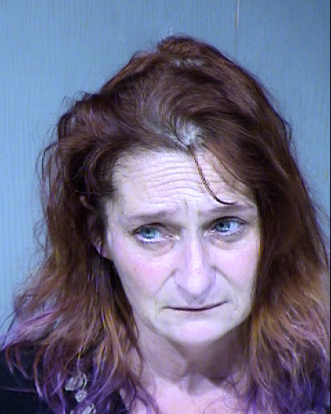 Brenda D Haughwout Mugshot / Maricopa County Arrests / Maricopa County Arizona