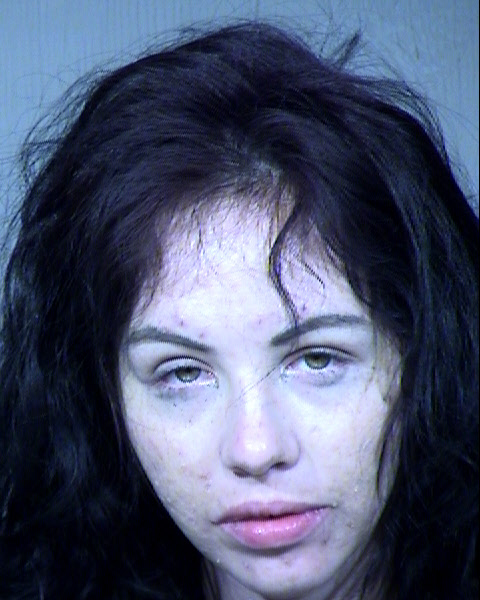 Megan Ashley Mica Mugshot / Maricopa County Arrests / Maricopa County Arizona