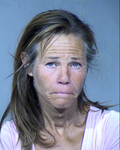 Lisa M Owsley Mugshot / Maricopa County Arrests / Maricopa County Arizona