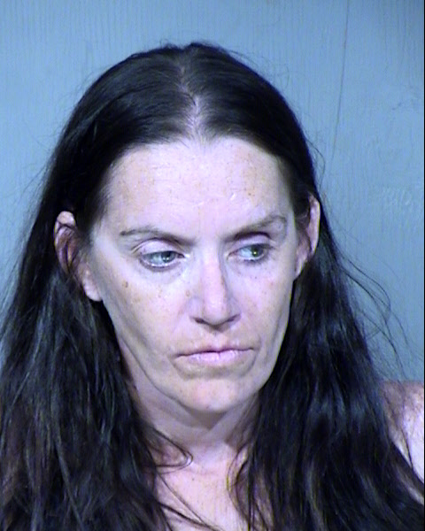 Brianna Rae Goodin Mugshot / Maricopa County Arrests / Maricopa County Arizona