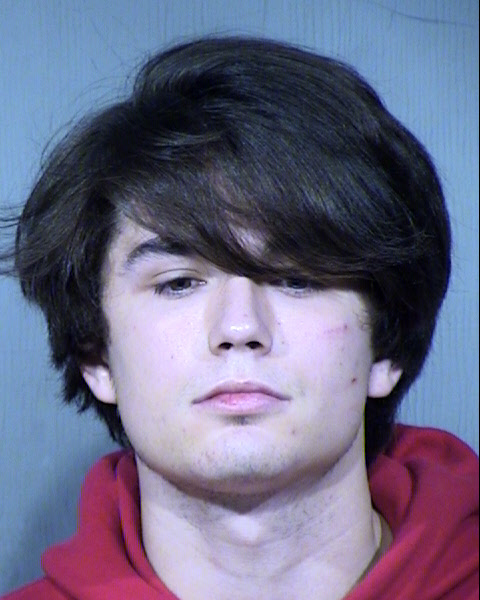 Zachary Ryan Toole Mugshot / Maricopa County Arrests / Maricopa County Arizona