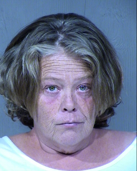 Paula Lynne Alger Mugshot / Maricopa County Arrests / Maricopa County Arizona