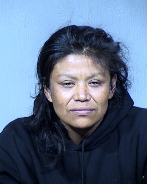 Sheila Manygoats Mugshot / Maricopa County Arrests / Maricopa County Arizona
