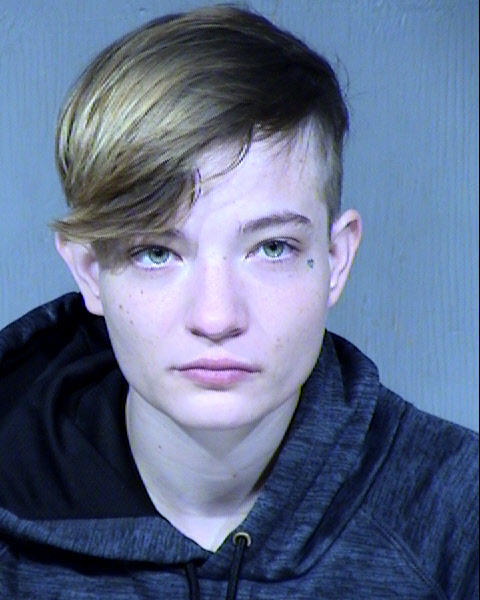 Shayna Leanne Henson Mugshot / Maricopa County Arrests / Maricopa County Arizona Arrests Shayna Leanne Henson Mugshot / Maricopa County Arrests / Maricopa County Arizona