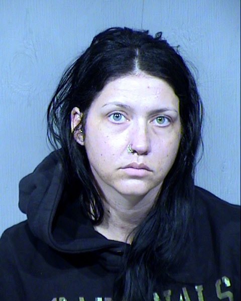 Justine Renee Seitzinger Mugshot / Maricopa County Arrests / Maricopa County Arizona