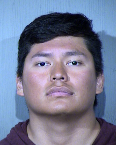 Wesley Towne Mugshot / Maricopa County Arrests / Maricopa County Arizona