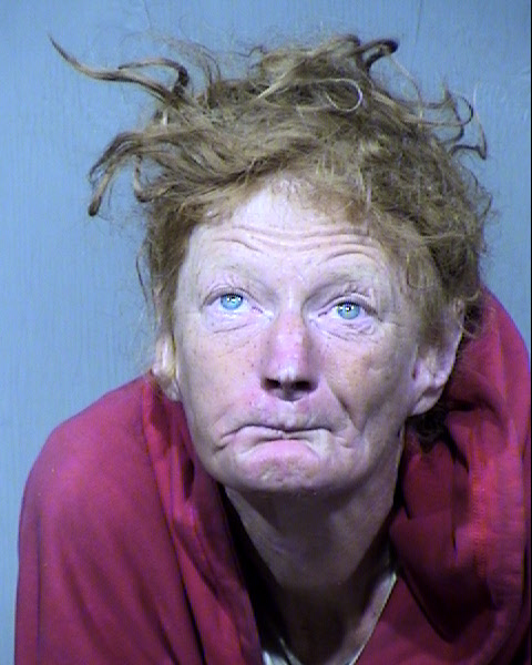 Dawn Denise Birdsong Mugshot / Maricopa County Arrests / Maricopa County Arizona