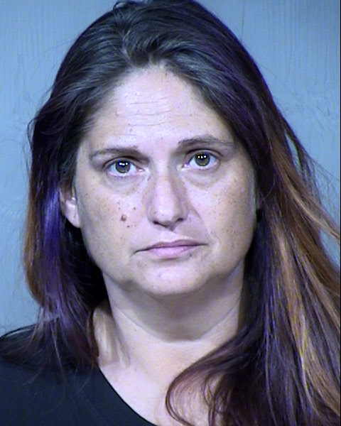 Audra Feinstein Mugshot / Maricopa County Arrests / Maricopa County Arizona