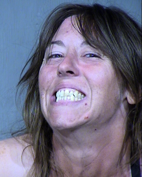 Lara Diane Coghill Mugshot / Maricopa County Arrests / Maricopa County Arizona