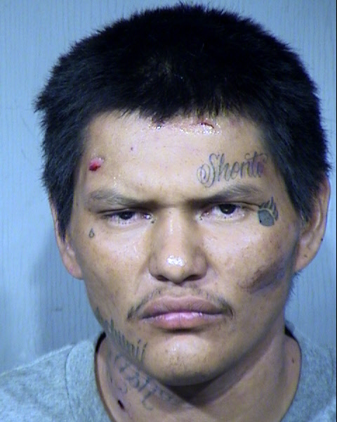 Justin Lee Watson Mugshot / Maricopa County Arrests / Maricopa County Arizona