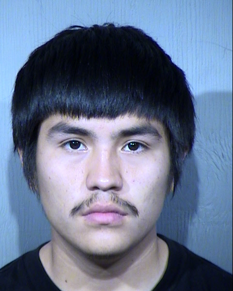 Sterling Levi Ortega Tree Mugshot / Maricopa County Arrests / Maricopa County Arizona