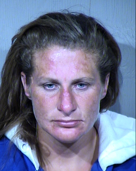 Heidi Carlson Mugshot / Maricopa County Arrests / Maricopa County Arizona