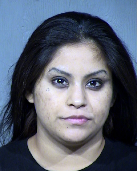 Renee Marie Dvorak Mugshot / Maricopa County Arrests / Maricopa County Arizona
