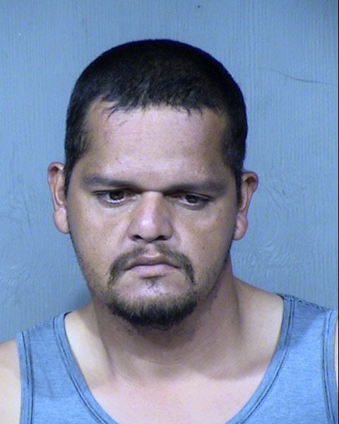Brian Robert Hopkins Mugshot / Maricopa County Arrests / Maricopa County Arizona