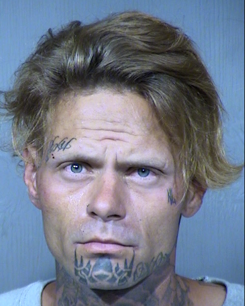 Richard Nicholas Long Mugshot / Maricopa County Arrests / Maricopa County Arizona