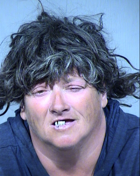 Serena Jo Brandon Mugshot / Maricopa County Arrests / Maricopa County Arizona