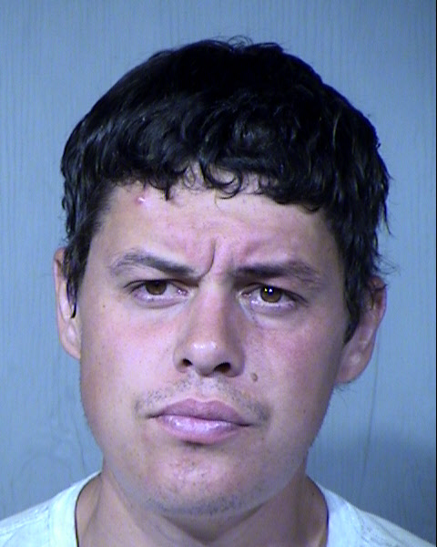 Joel David Hecker Mugshot / Maricopa County Arrests / Maricopa County Arizona