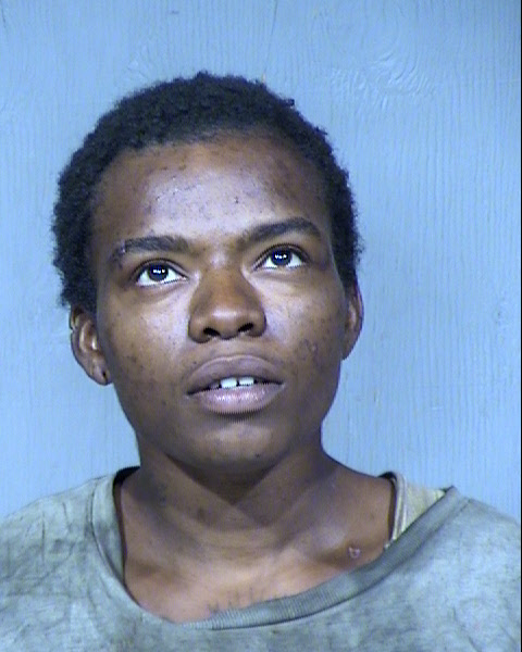 Danicka Shanel Washington Mugshot / Maricopa County Arrests / Maricopa County Arizona
