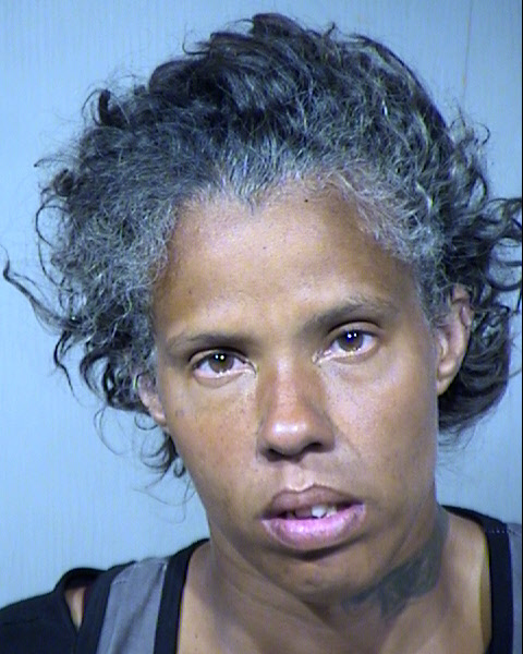 Heidi Ann Lucas Mugshot / Maricopa County Arrests / Maricopa County Arizona