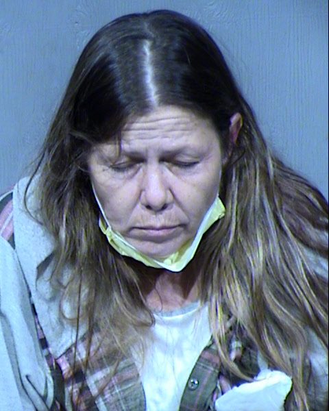 Shelly Diane Draper Mugshot / Maricopa County Arrests / Maricopa County Arizona
