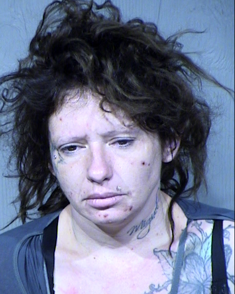 Brianna Krushell Barraza Mugshot / Maricopa County Arrests / Maricopa County Arizona