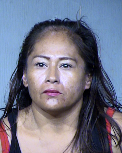 Amelia E Fritz Mugshot / Maricopa County Arrests / Maricopa County Arizona