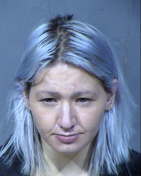 Caroline Meehan Coster Mugshot / Maricopa County Arrests / Maricopa County Arizona