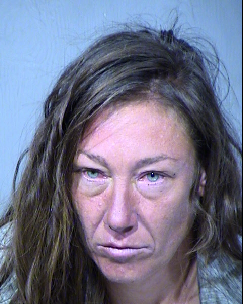 Karen Elizabeth Manz Mugshot / Maricopa County Arrests / Maricopa County Arizona