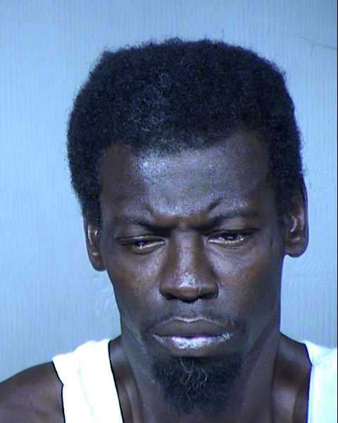 Levi Phillips Mugshot / Maricopa County Arrests / Maricopa County Arizona