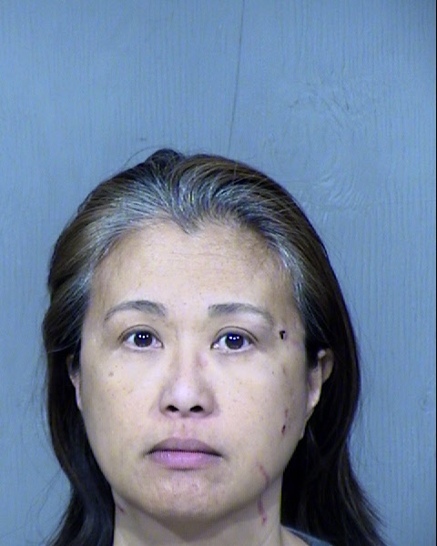 Diana Martin Mugshot / Maricopa County Arrests / Maricopa County Arizona