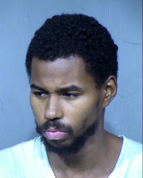 Gerard Preston Falconer Mugshot / Maricopa County Arrests / Maricopa County Arizona