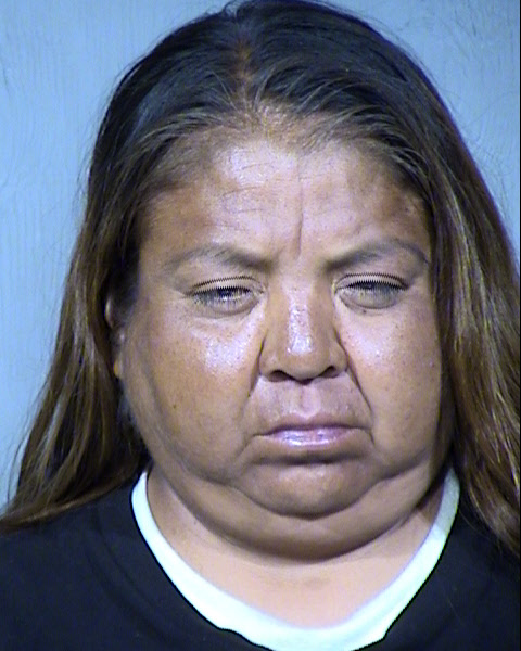 Sherry Jane Chee Mugshot / Maricopa County Arrests / Maricopa County Arizona