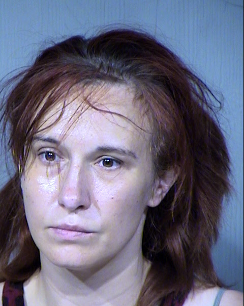 Melissa Kay Fischer Mugshot / Maricopa County Arrests / Maricopa County Arizona