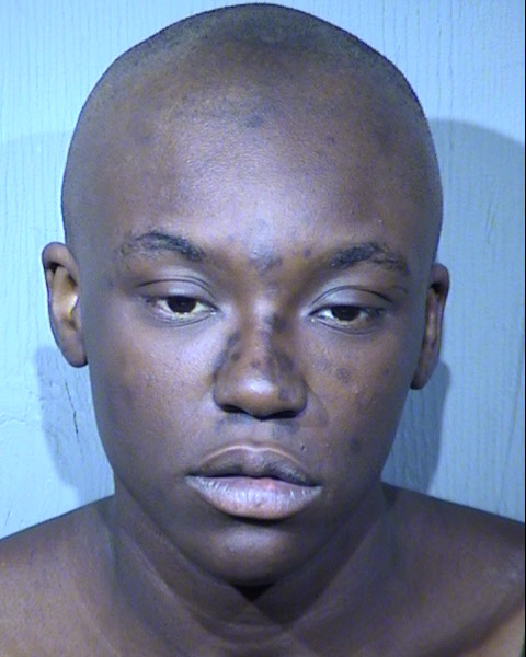 Ronnisha Nicole Robinson Mugshot / Maricopa County Arrests / Maricopa County Arizona