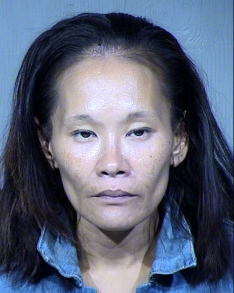 Rebecca Ann Kim Mcginnis Mugshot / Maricopa County Arrests / Maricopa County Arizona