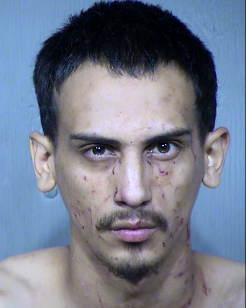 Sebastian Delgado Mugshot / Maricopa County Arrests / Maricopa County Arizona