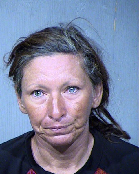 Jill Ann Brown Mugshot / Maricopa County Arrests / Maricopa County Arizona