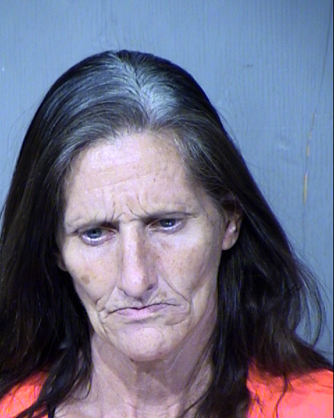 Dawn Denise Haupert Mugshot / Maricopa County Arrests / Maricopa County Arizona