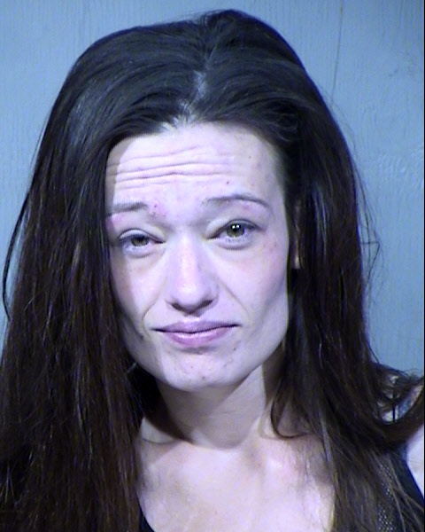 Leeann Rose Wilde Mugshot / Maricopa County Arrests / Maricopa County Arizona