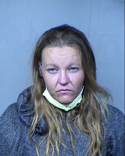 Tamara Ann Bailey Mugshot / Maricopa County Arrests / Maricopa County Arizona