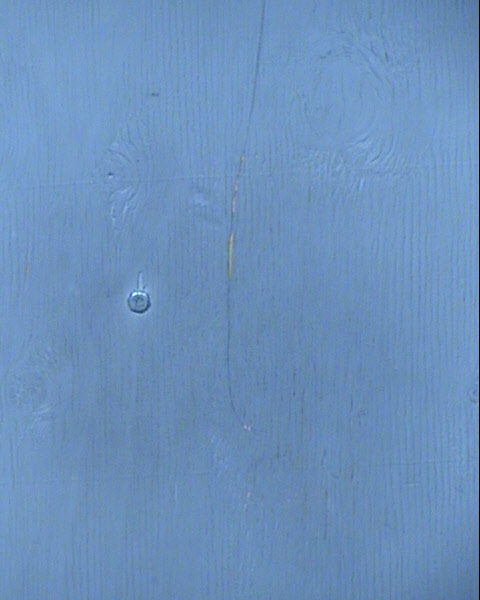 Charlotte Sease Mugshot / Maricopa County Arrests / Maricopa County Arizona