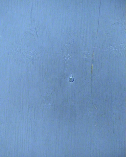 John Calvin Neuendorf Mugshot / Maricopa County Arrests / Maricopa County Arizona