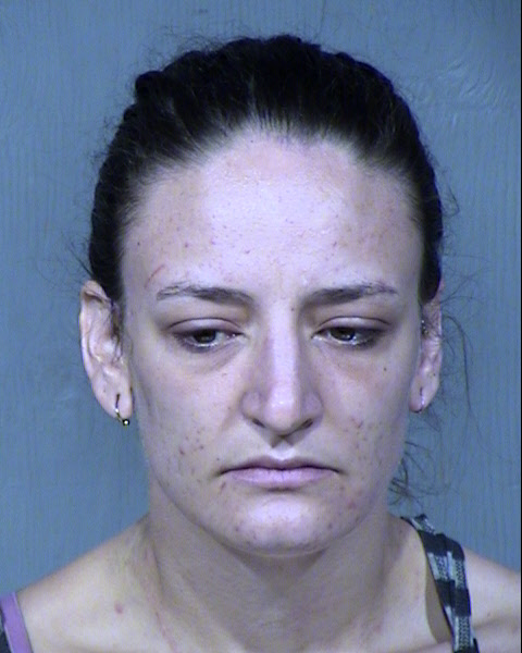 Erin Lindsay Hamilton Mugshot / Maricopa County Arrests / Maricopa County Arizona