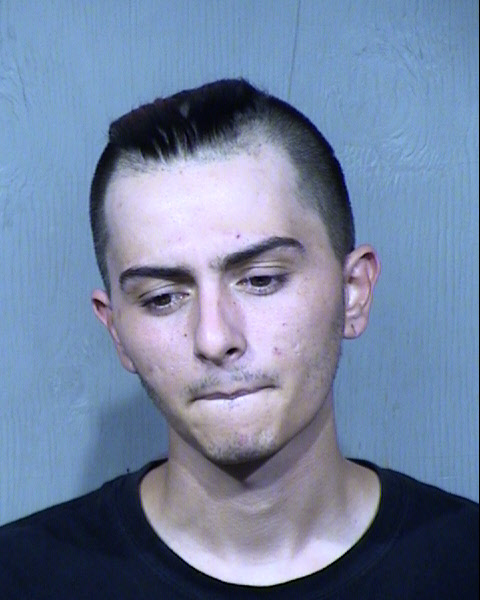Daniel Lawrence Danza Mugshot / Maricopa County Arrests / Maricopa County Arizona