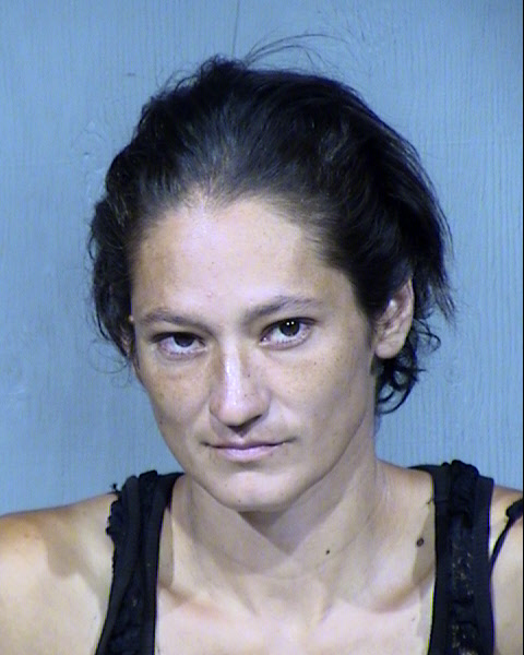 Annabelle Lynne Skelink Mugshot / Maricopa County Arrests / Maricopa County Arizona